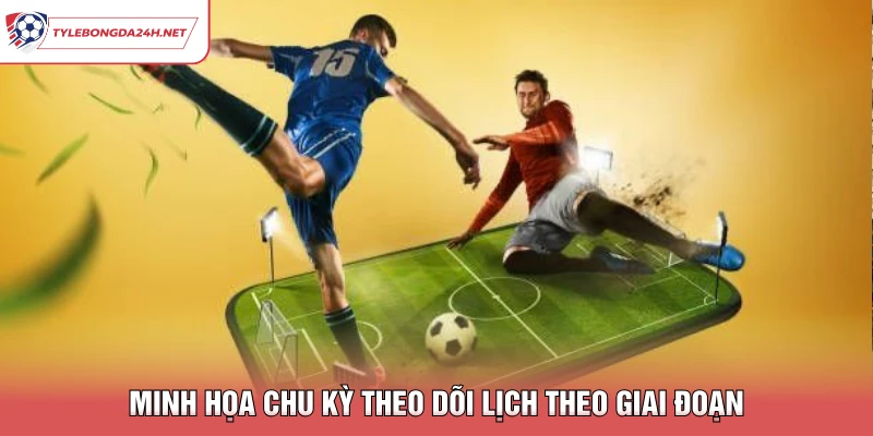 Minh họa chu kỳ theo dõi lịch theo giai đoạn