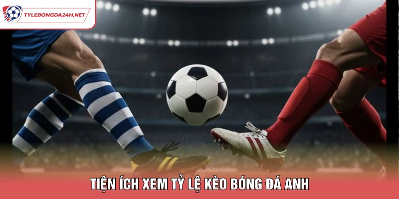 Tiện ích xem tỷ lệ kèo bóng đá Anh